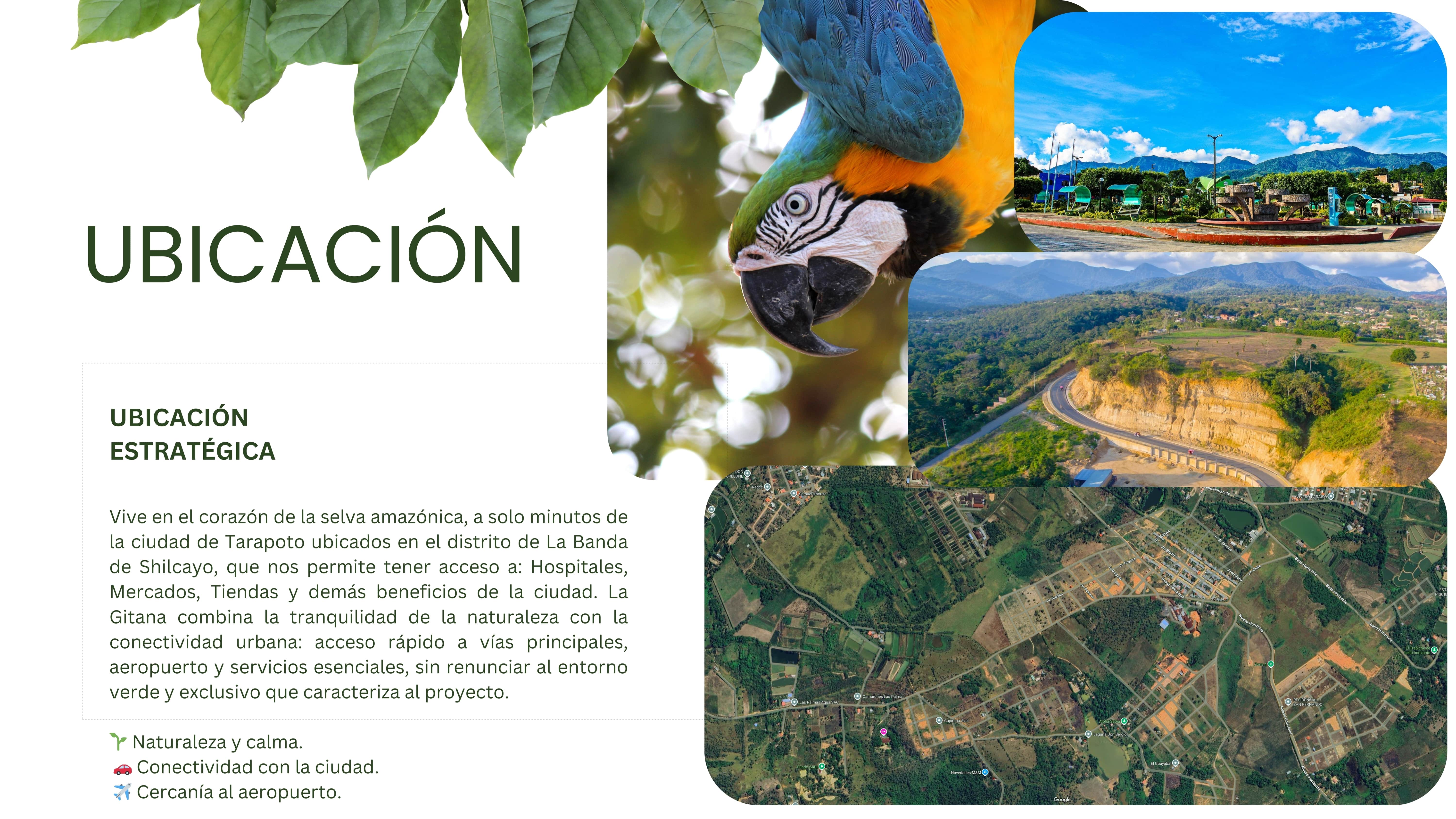 Ubicación